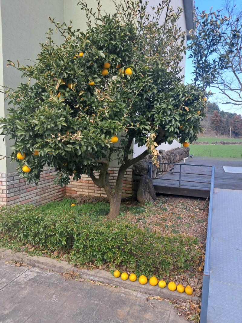 0152654e0d811dd032259ccdbc897177_1742143772_5793.jpeg